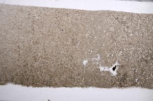 Plane Polarized, E60394