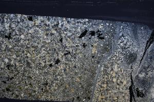 Cross Polarized, E60396