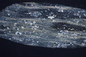 Cross Polarized, E60444