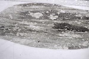 Plane Polarized, E60444