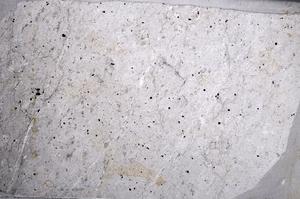 Plane Polarized, E60445