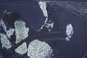 Cross Polarized, E60447