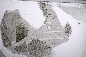 Plane Polarized, E60447