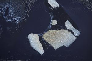 Cross Polarized, E60448