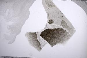 Plane Polarized, E60448