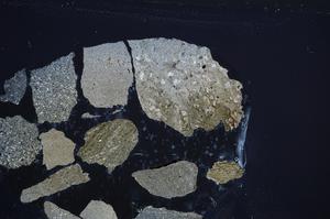 Cross Polarized, E60449