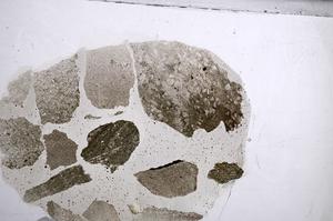 Plane Polarized, E60449