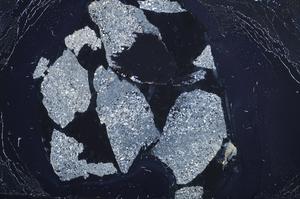 Cross Polarized, E60450