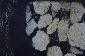 Cross Polarized, E60451