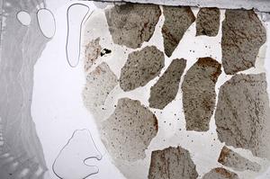 Plane Polarized, E60451