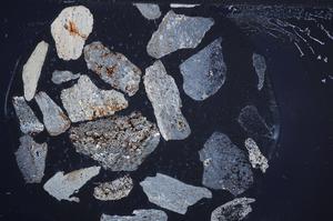 Cross Polarized, E60452