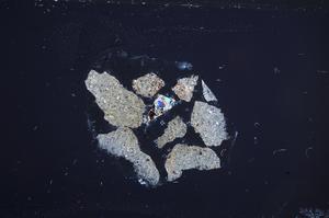 Cross Polarized, E60453