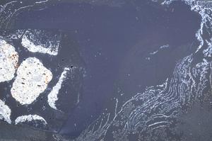 Cross Polarized, E60455