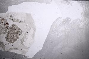 Plane Polarized, E60455