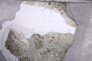 Plane Polarized, E60460