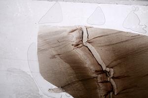 Plane Polarized, E60469