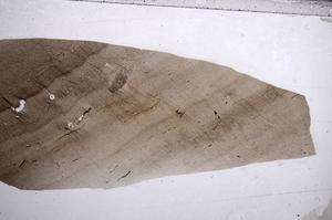 Plane Polarized, E60471