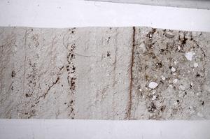 Plane Polarized, E60474