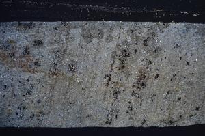 Cross Polarized, E60475