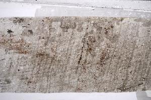 Plane Polarized, E60475