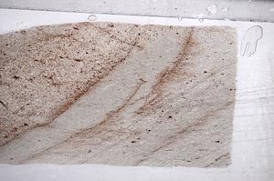 Plane Polarized, E60477