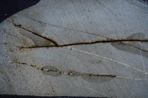 Cross Polarized, E60479