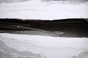 Plane Polarized, E60538/E