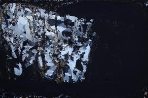 Cross Polarized, E60540