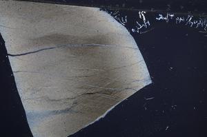 Cross Polarized, E60541/A