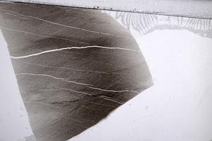 Plane Polarized, E60541/A