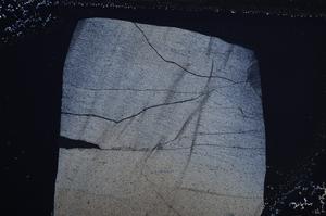 Cross Polarized, E60541/B