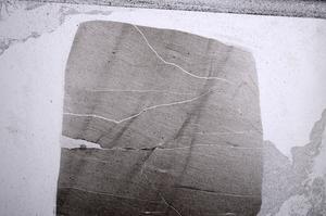 Plane Polarized, E60541/B