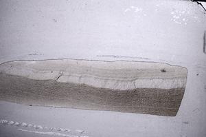 Plane Polarized, E60542/A