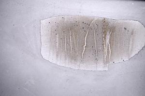 Plane Polarized, E60543/A