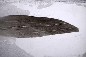 Plane Polarized, E60545/D