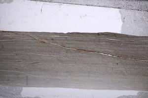 Plane Polarized, E60546/A