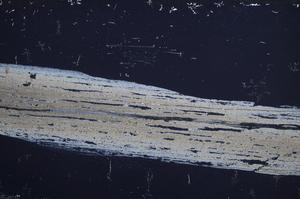 Cross Polarized, E60578/B