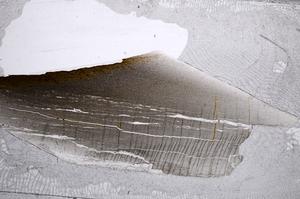 Plane Polarized, E60580