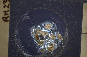 Cross Polarized, E60770