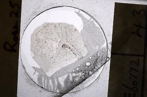 Plane Polarized, E60772