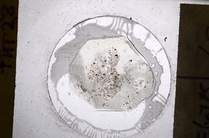 Plane Polarized, E60775