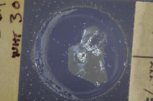 Cross Polarized, E60777