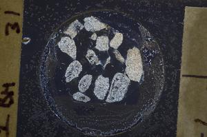 Cross Polarized, E60778