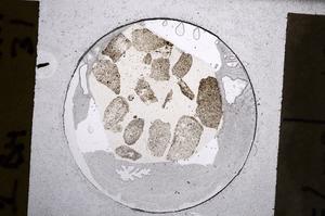 Plane Polarized, E60778