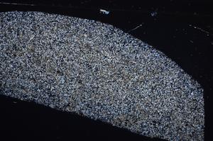 Cross Polarized, E60783