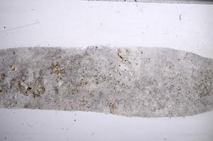Plane Polarized, E60853