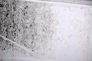 Plane Polarized, E60983