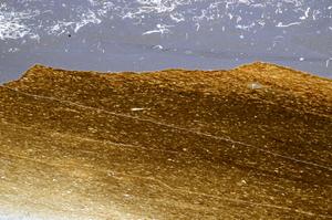 Cross Polarized, E61090