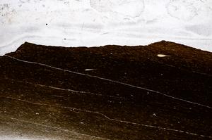 Plane Polarized, E61090