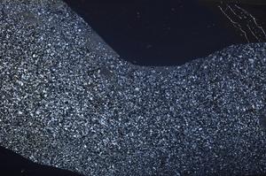 Cross Polarized, E61153